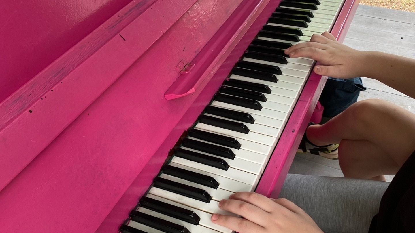 Розовое пианино в Саду Победы 