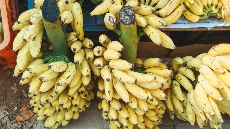 На Южном Урале не допустили к продаже бананы из Эквадора из-за паразитов
