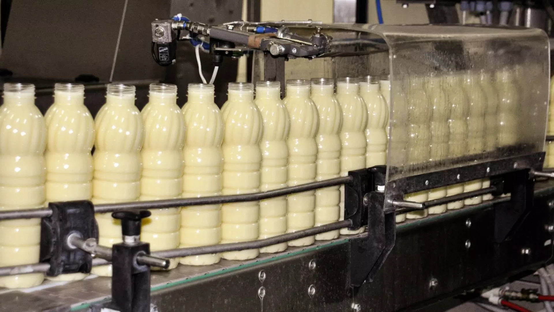 Завод в Златоусте подделал документы на 12 партий молочных продуктов