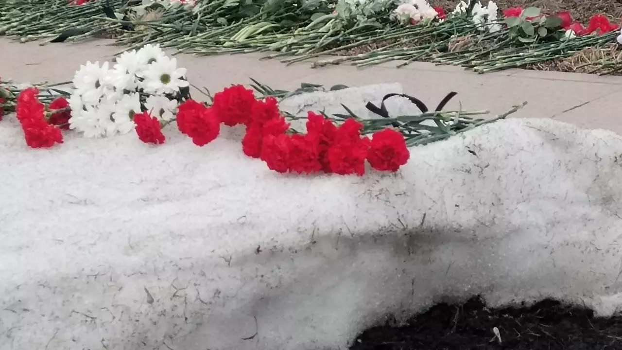 Красные гвоздики на белом снегу у мемориала в Челябинске