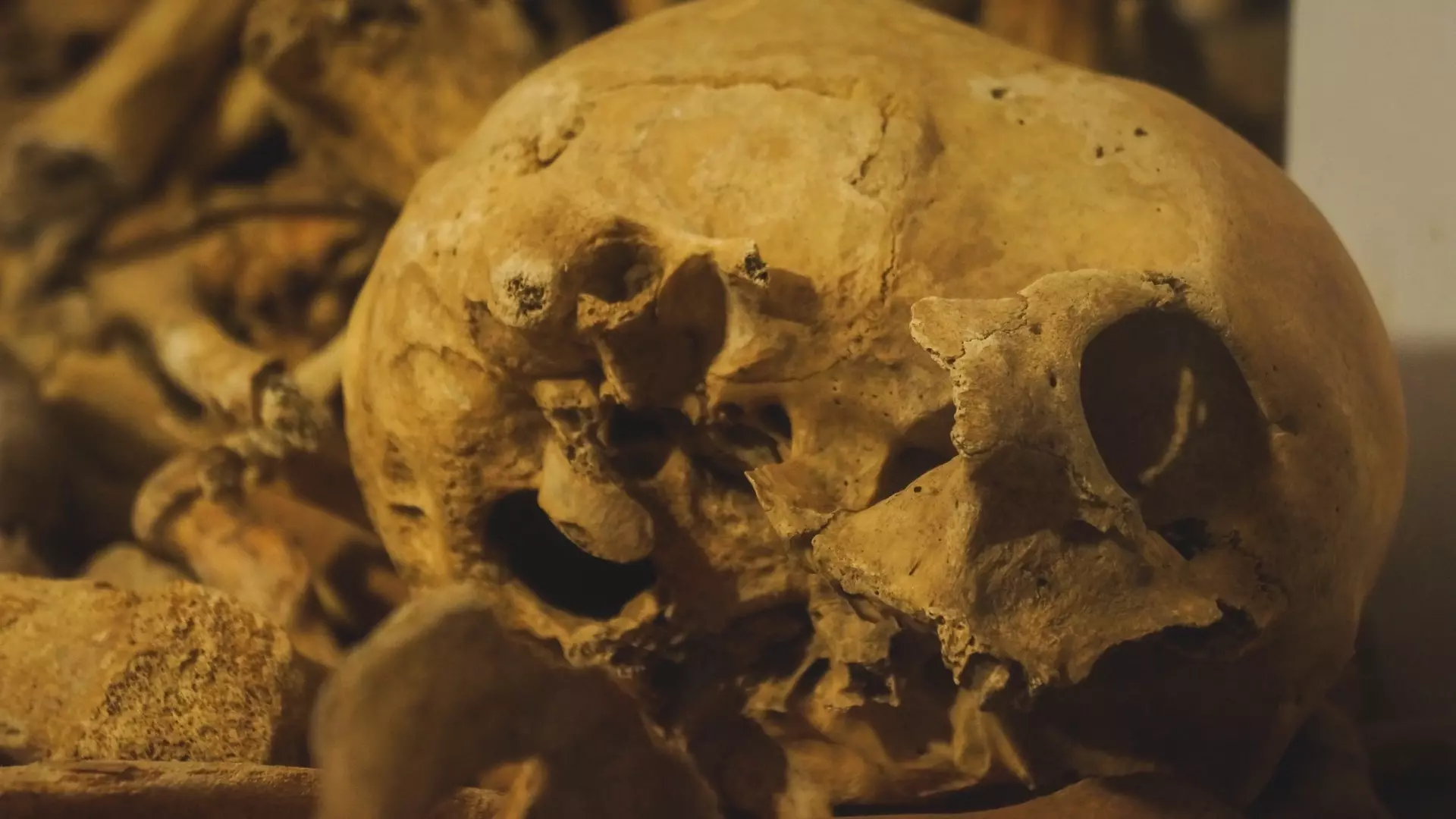 Человеческие скелеты находят жители Челябинска