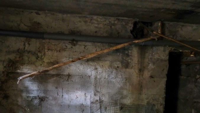 Тараканы, сырость и вонь: жители Челябинска страдают от потопов в подвале дома