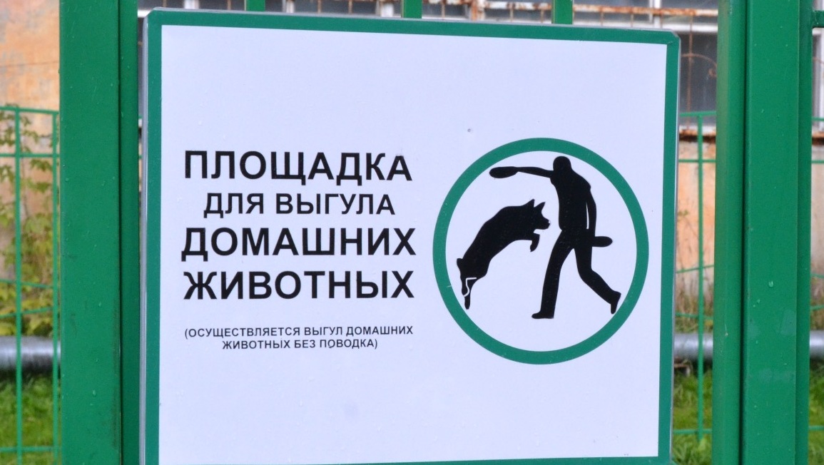 Площадка для выгула собак и туалет появятся в челябинском парке