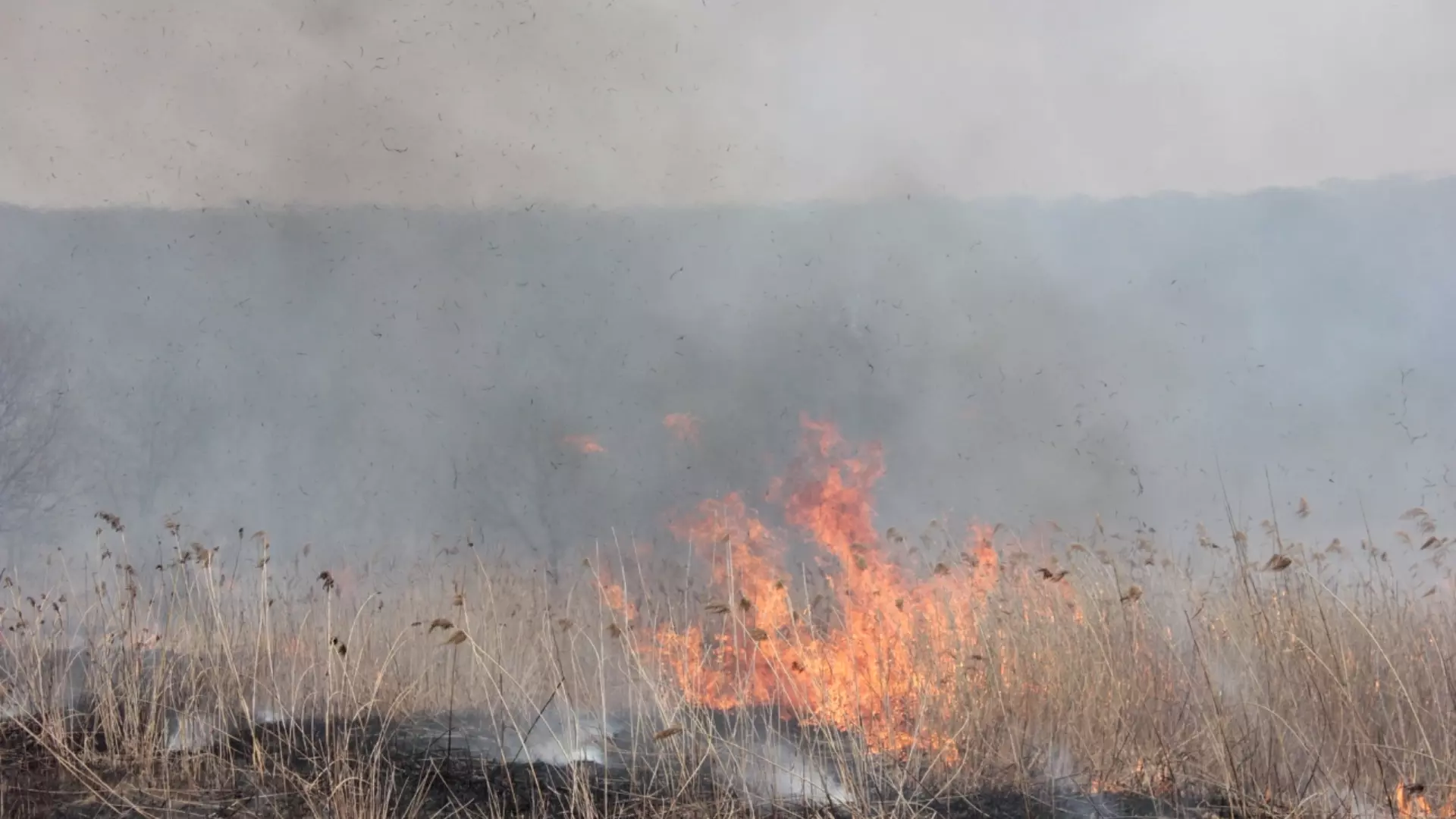 Челябинцы встревожены из-за пламени, охватившего сухую траву вблизи трассы