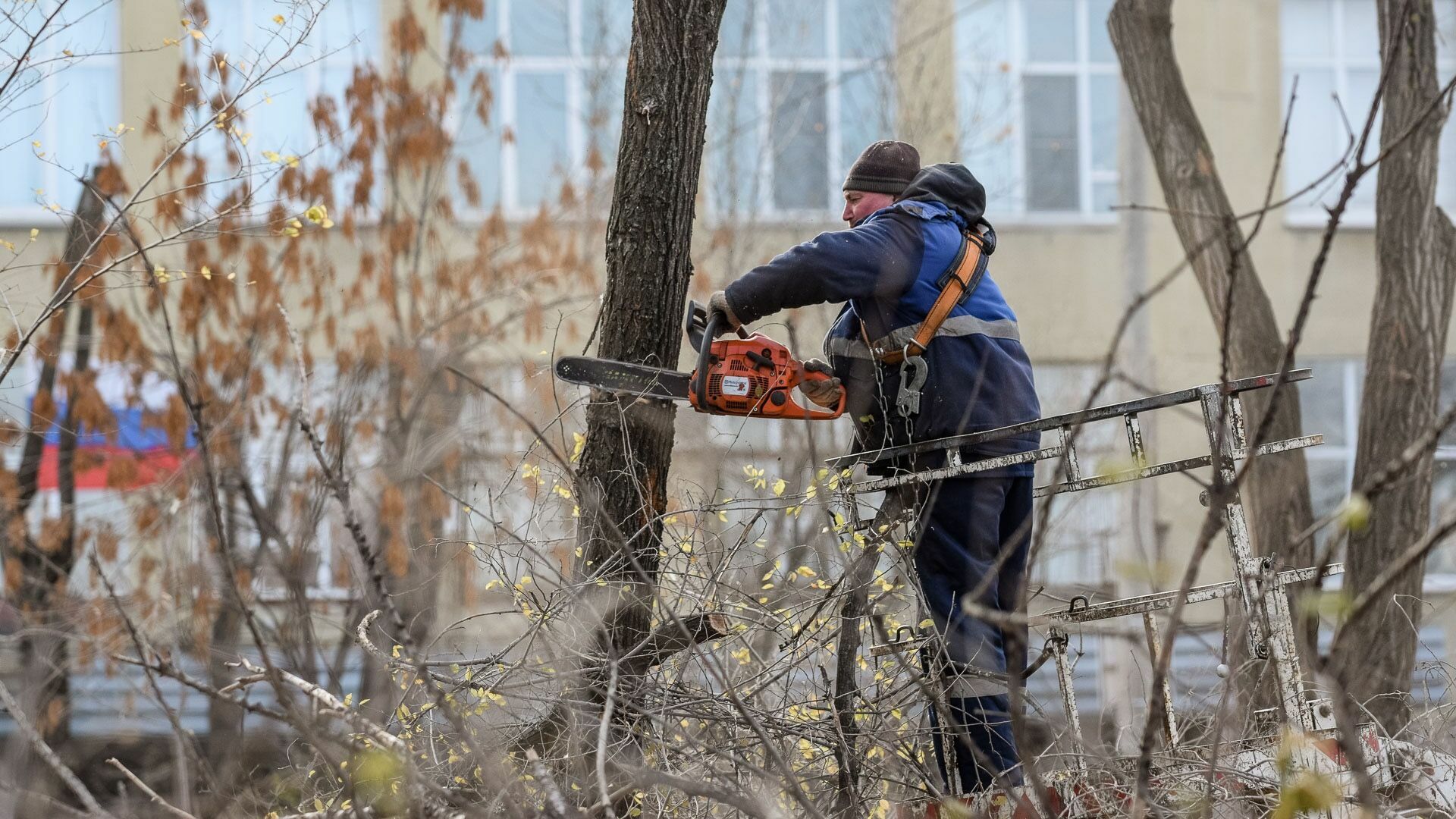 Упавшее на дорогу дерево на протяжении недели не убирается в Челябинске