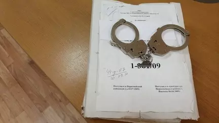 Департамент МВД задержал главу челябинского общества глухих в ходе спецоперации