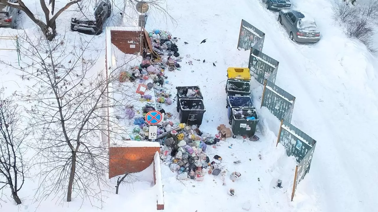 В Челябинске и пригородах не удается решить проблему оперативного вывоза мусора