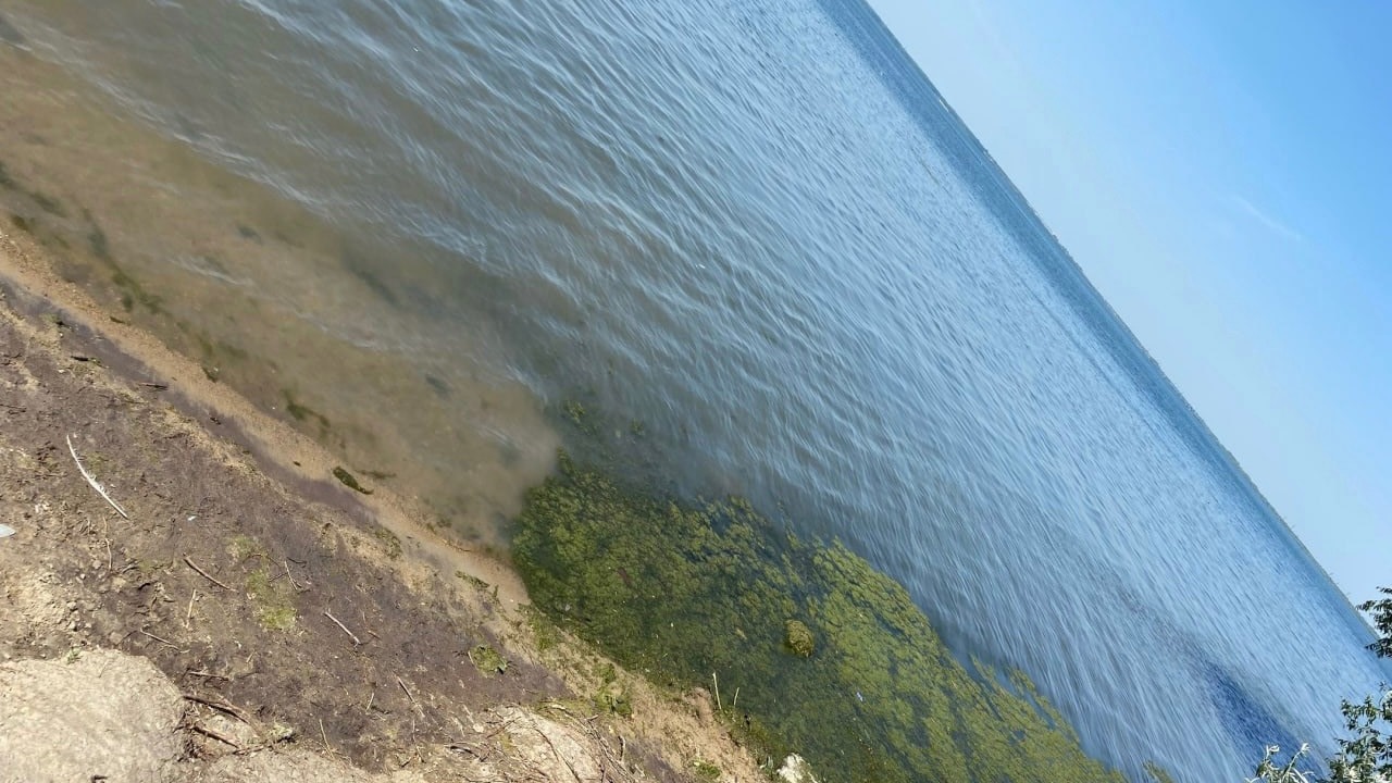 Купались в запрещенном месте: 6-летний ребенок утонул на озере в Челябинске