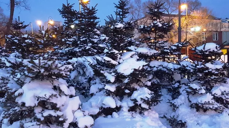30 градусов мороза будет в Челябинске в новогодние каникулы
