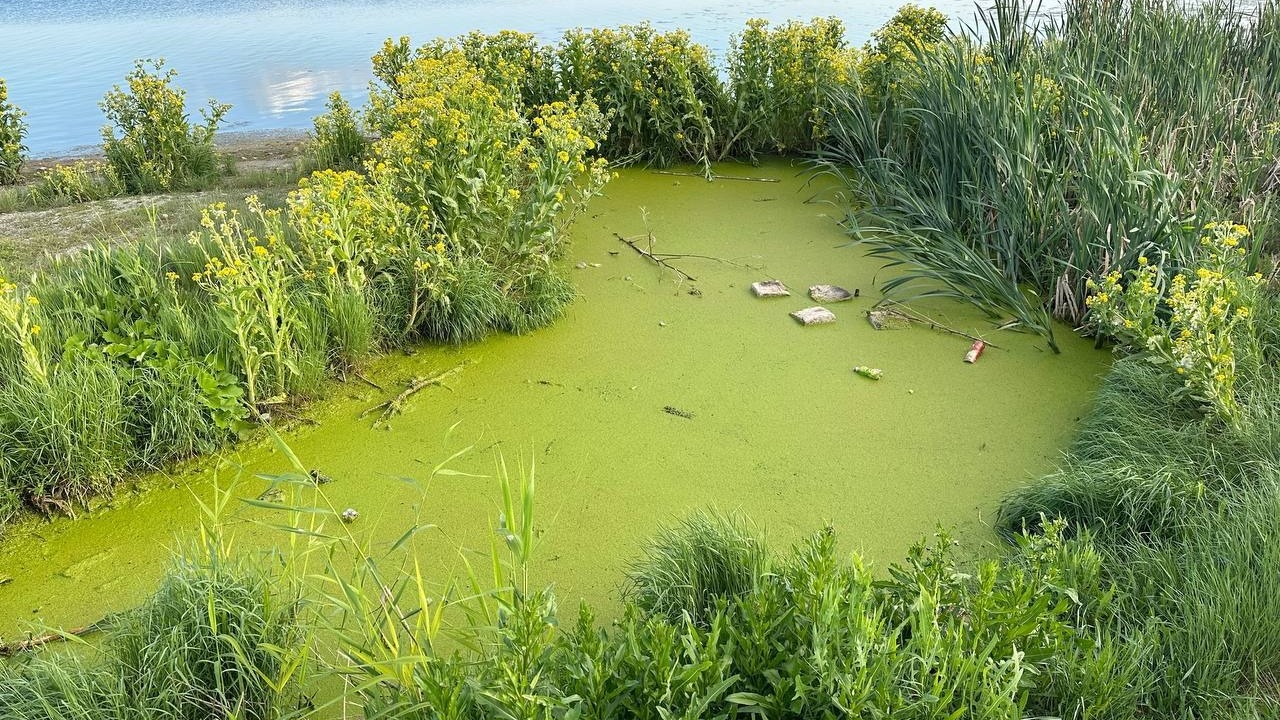 Озеро в Челябинской области на грани экологической катастрофы