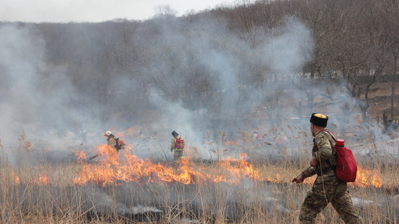 Лесной пожар бушует в Башкирии на границе с Челябинской областью