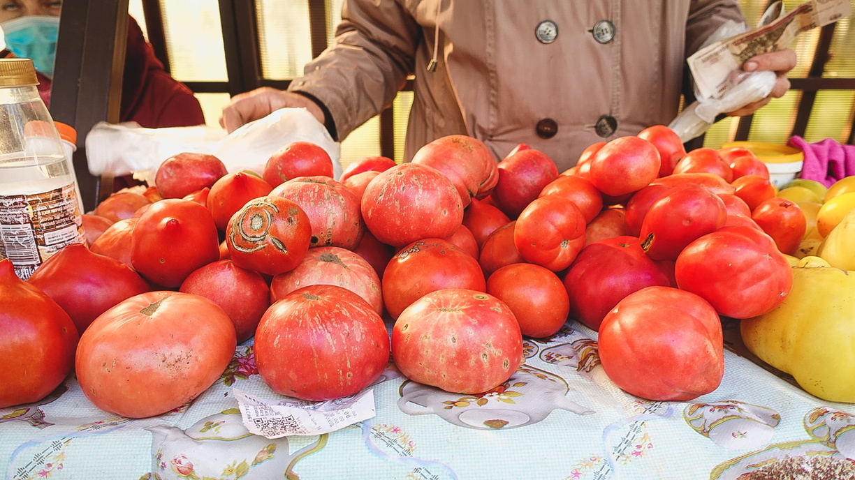 5 тонн заражённых помидоров уничтожили в Челябинской области