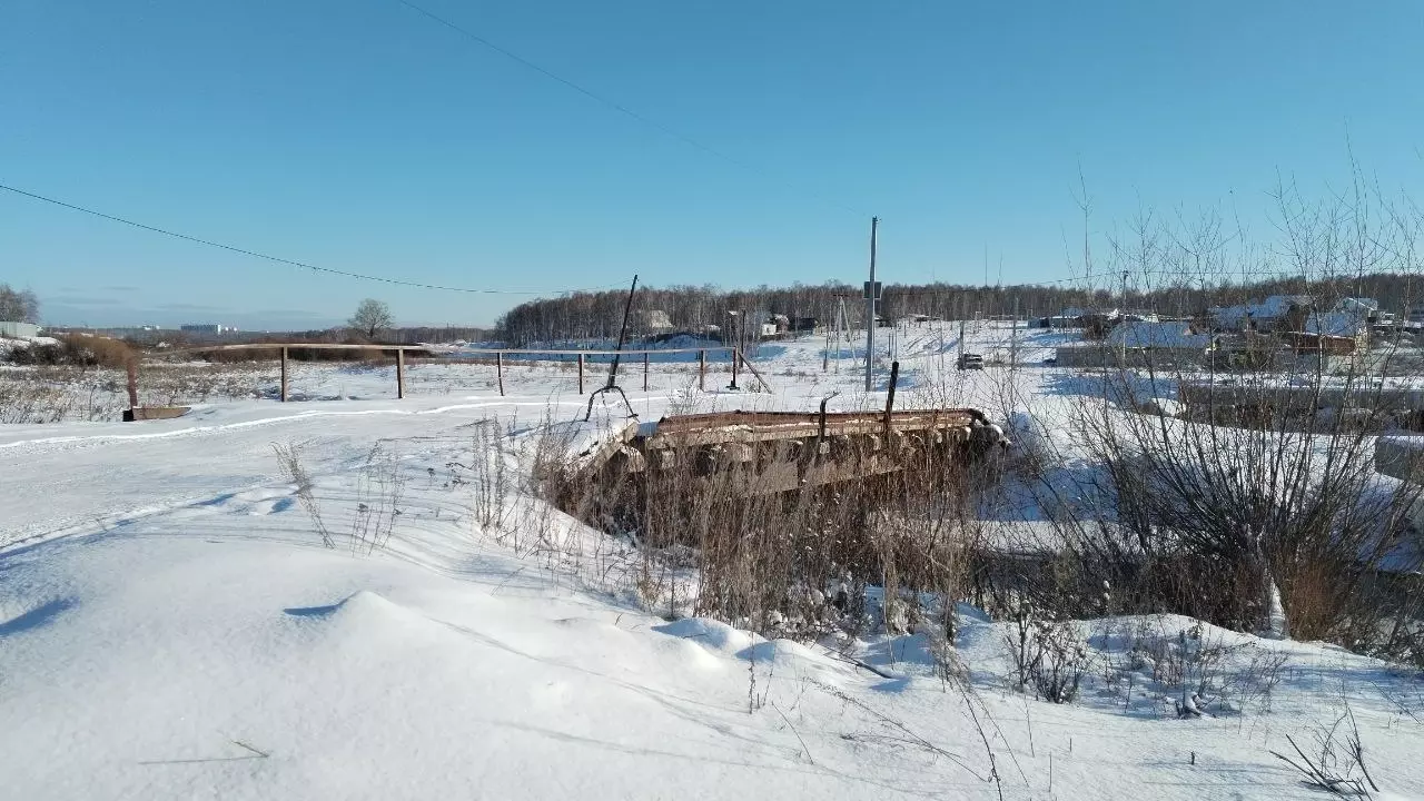 Нет света, холод и бродячие собаки: проблемы одного поселка в Челябинской области