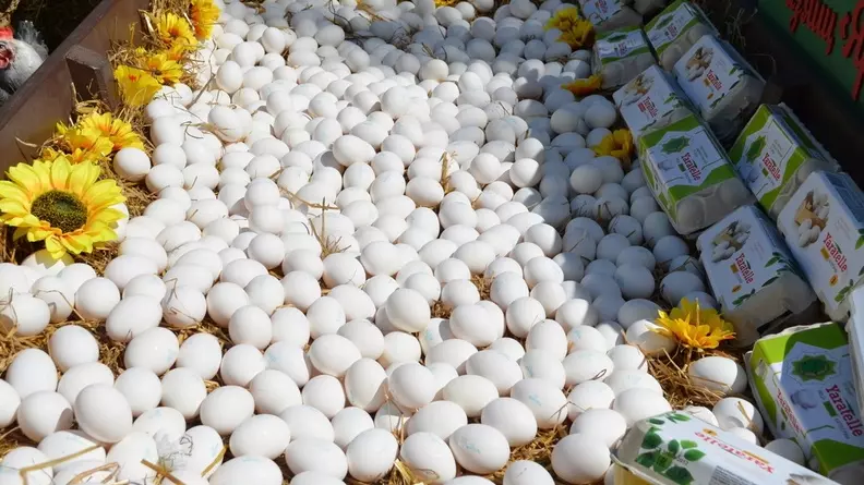 Яйца станут дешевле после Нового года в Челябинской области