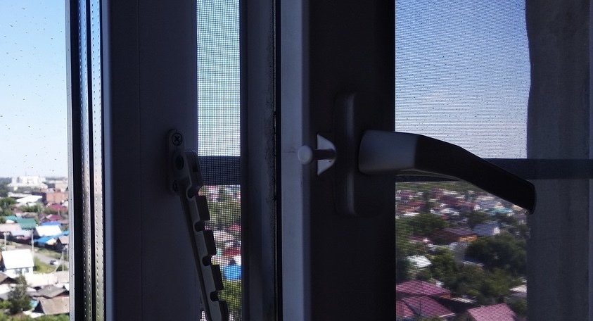 Полчища неизвестных жуков облепили окна жилых домов в Магнитогорске