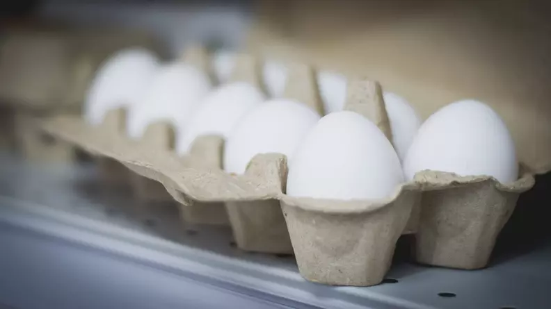 Хорошие новости в Челябинске про цены на куриные яйца