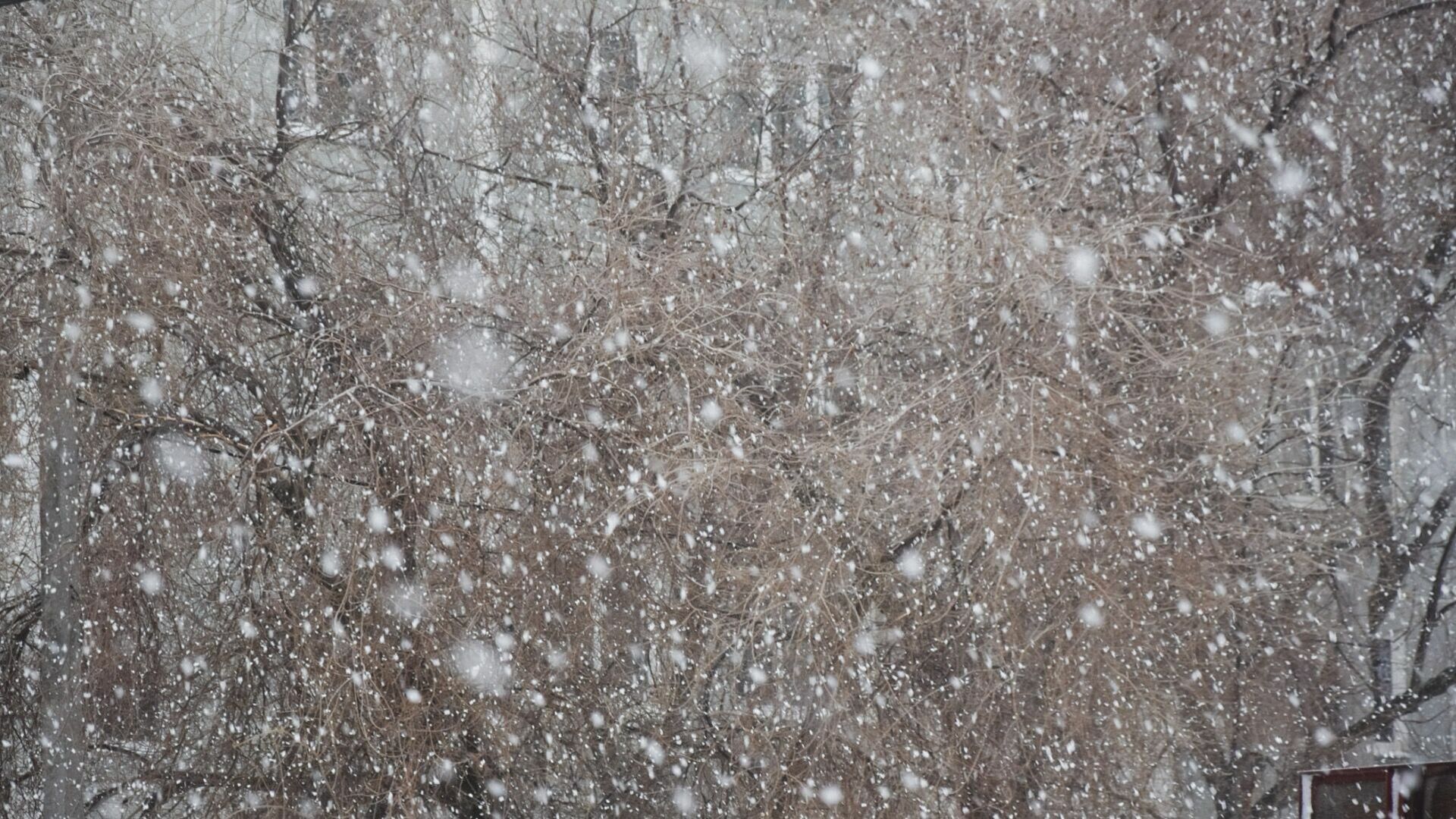 Снег с дождем и сильный ветер бушуют в Челябинской области