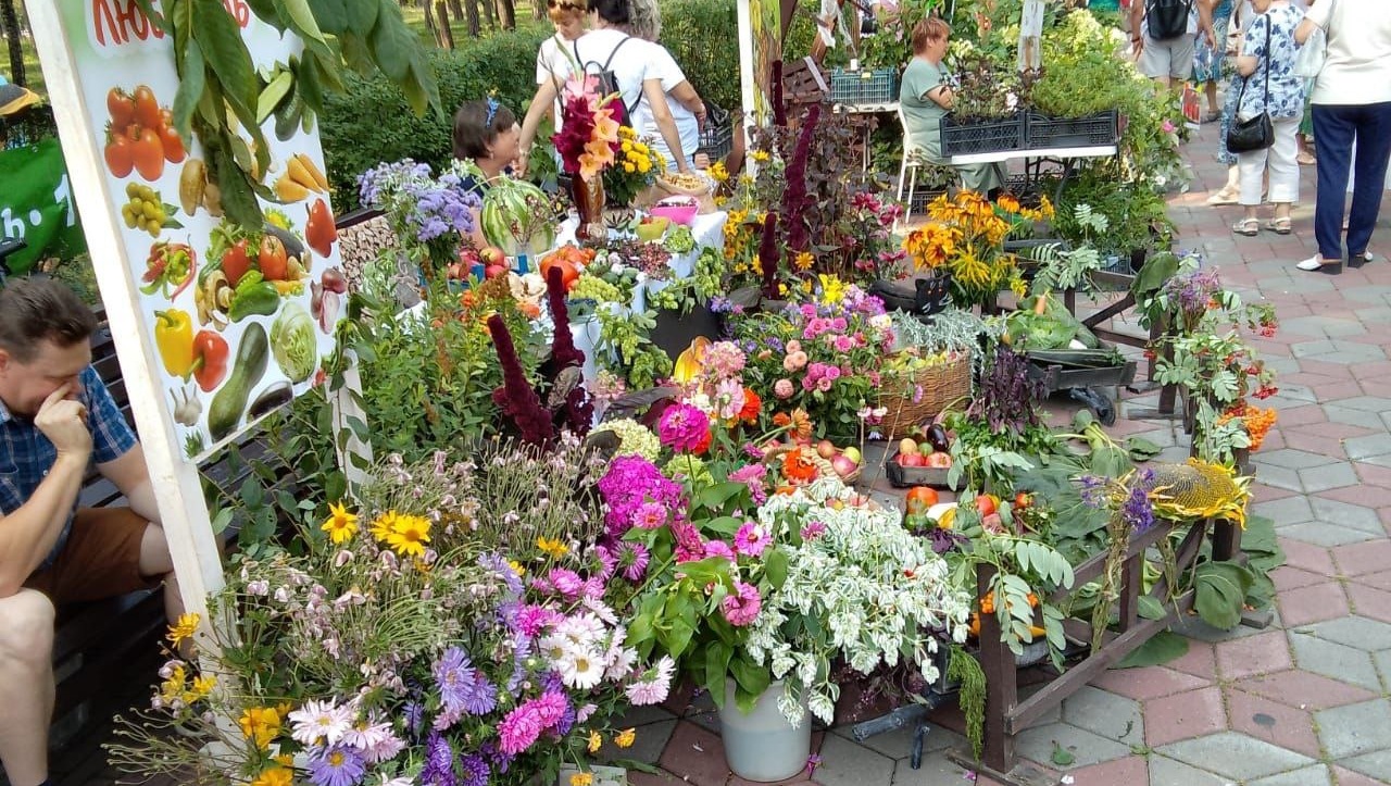 Выставку цветов и плодов открыли в Челябинске