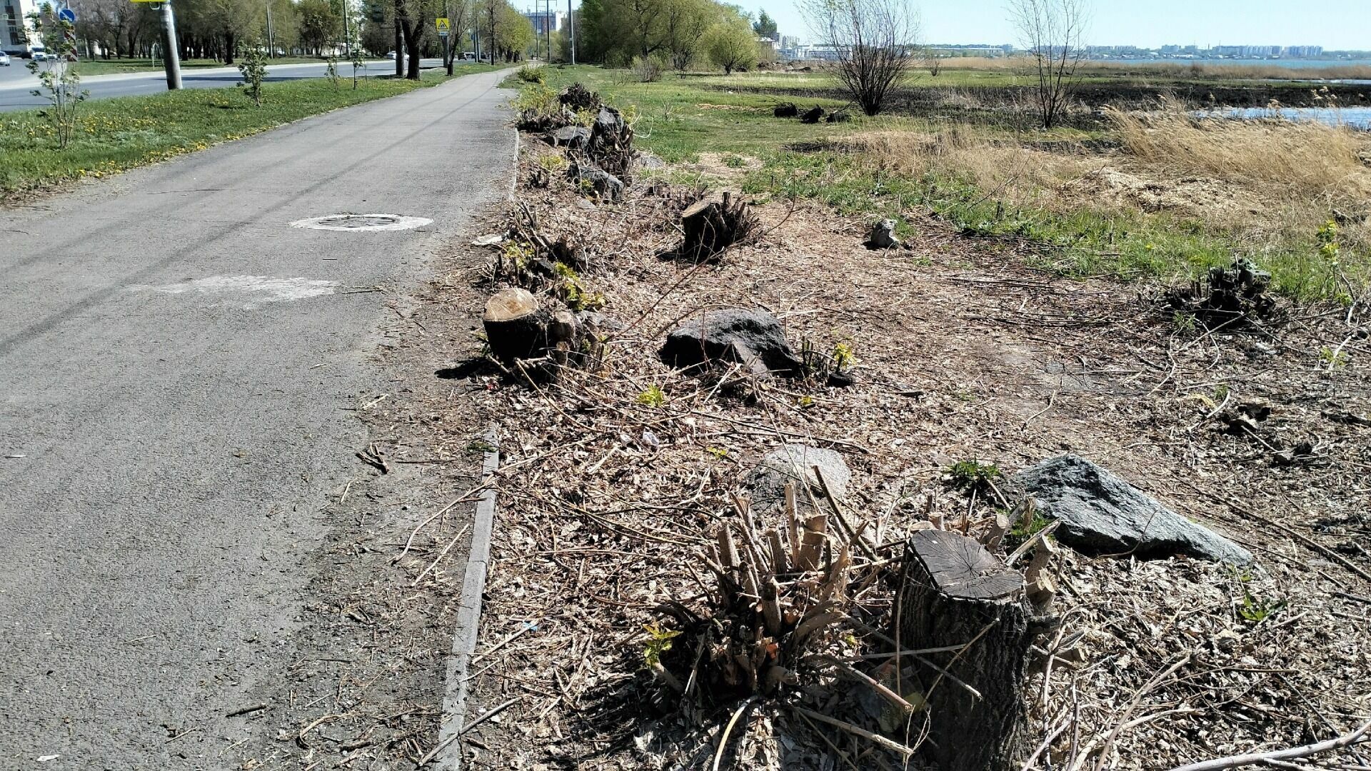Рубят деревья на берегу озера Смолино в Челябинске: набережную продлят