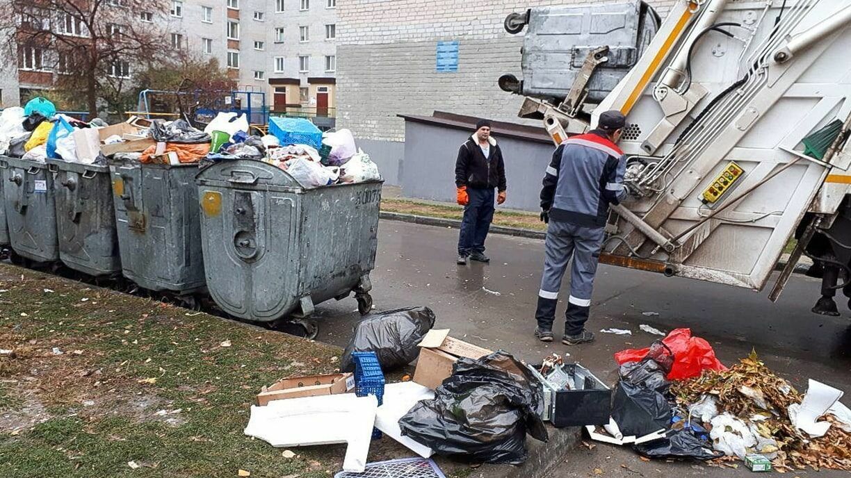РЭО будет контролировать ситуацию с новогодним мусорным коллапсом в субъектах РФ
