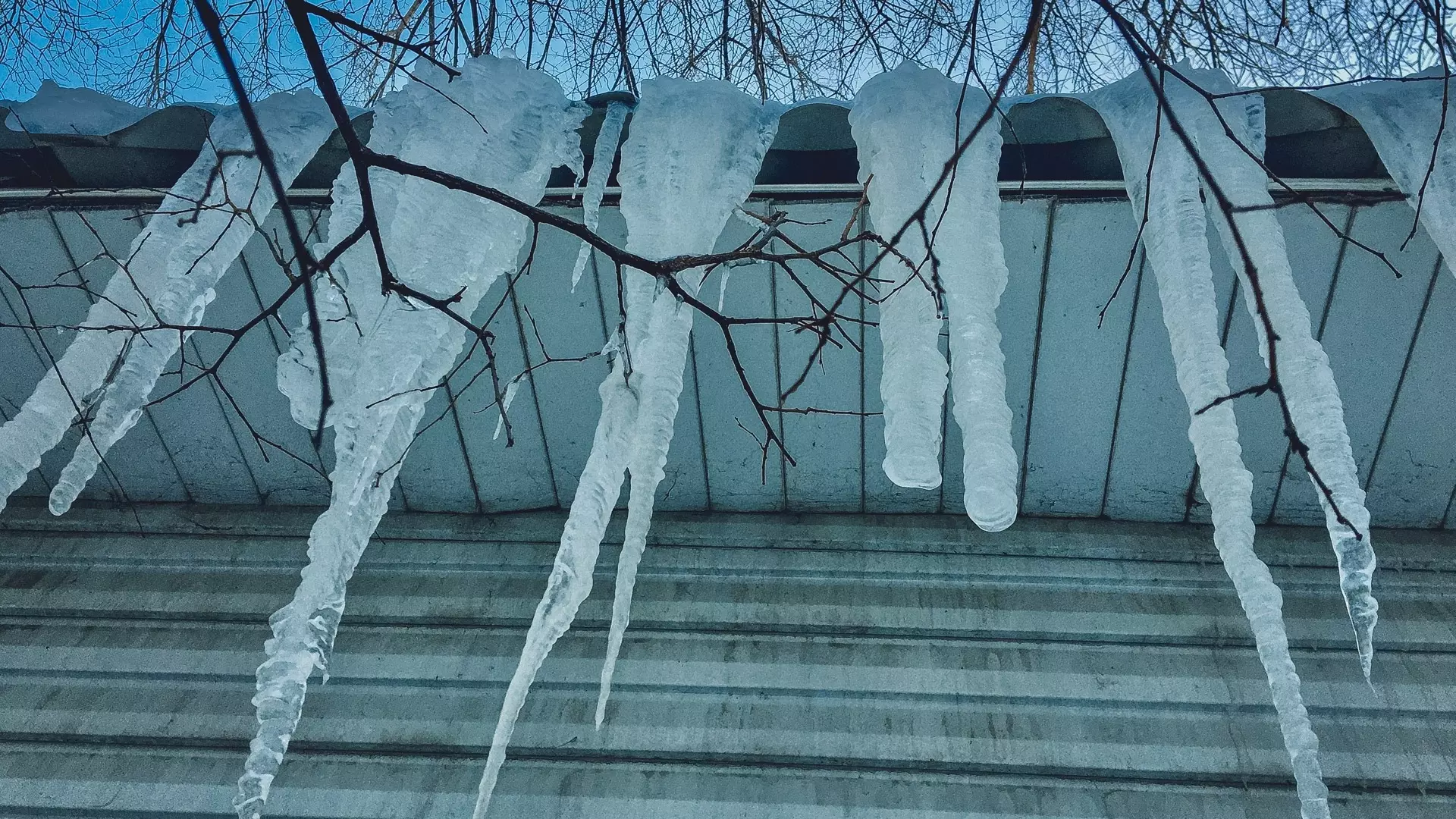 В студенческой больнице назвали причины падения снега с крыши на машины