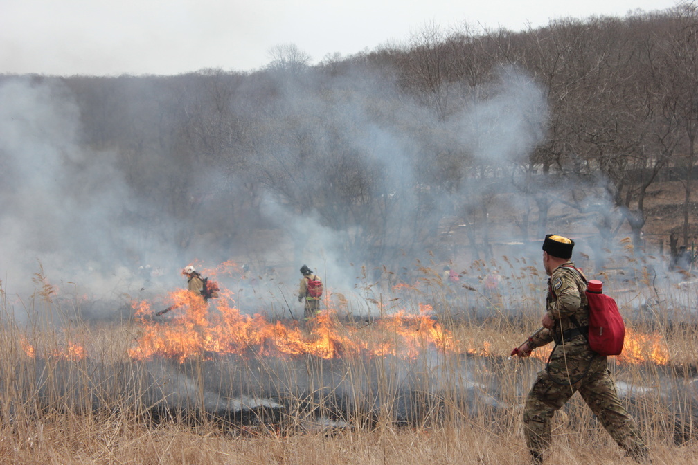 С природными пожарами борются в Челябинской области