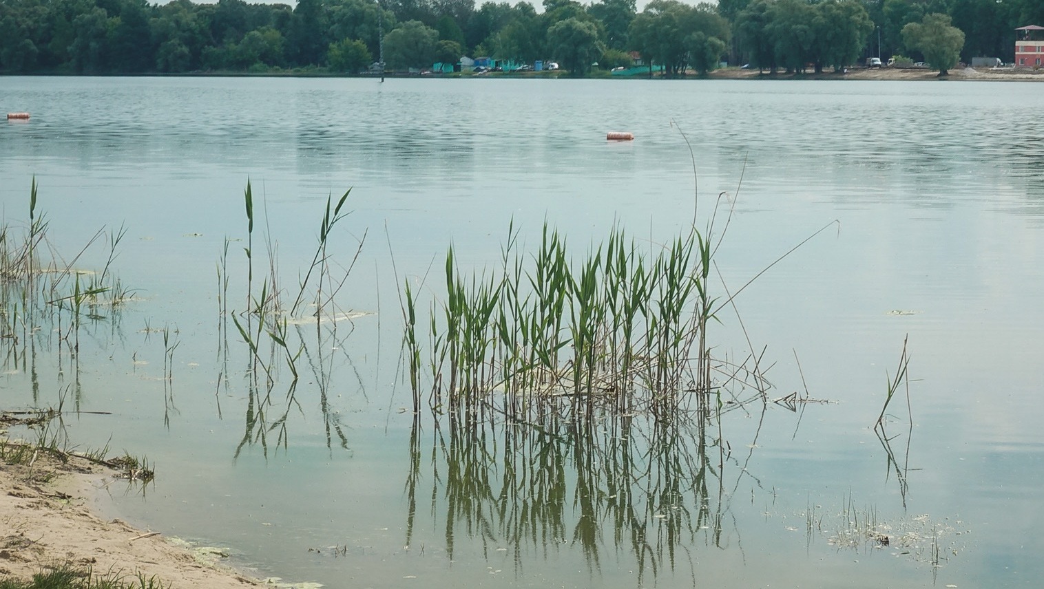 Базу отдыха на берегу челябинского озера продают за 6 млн рублей
