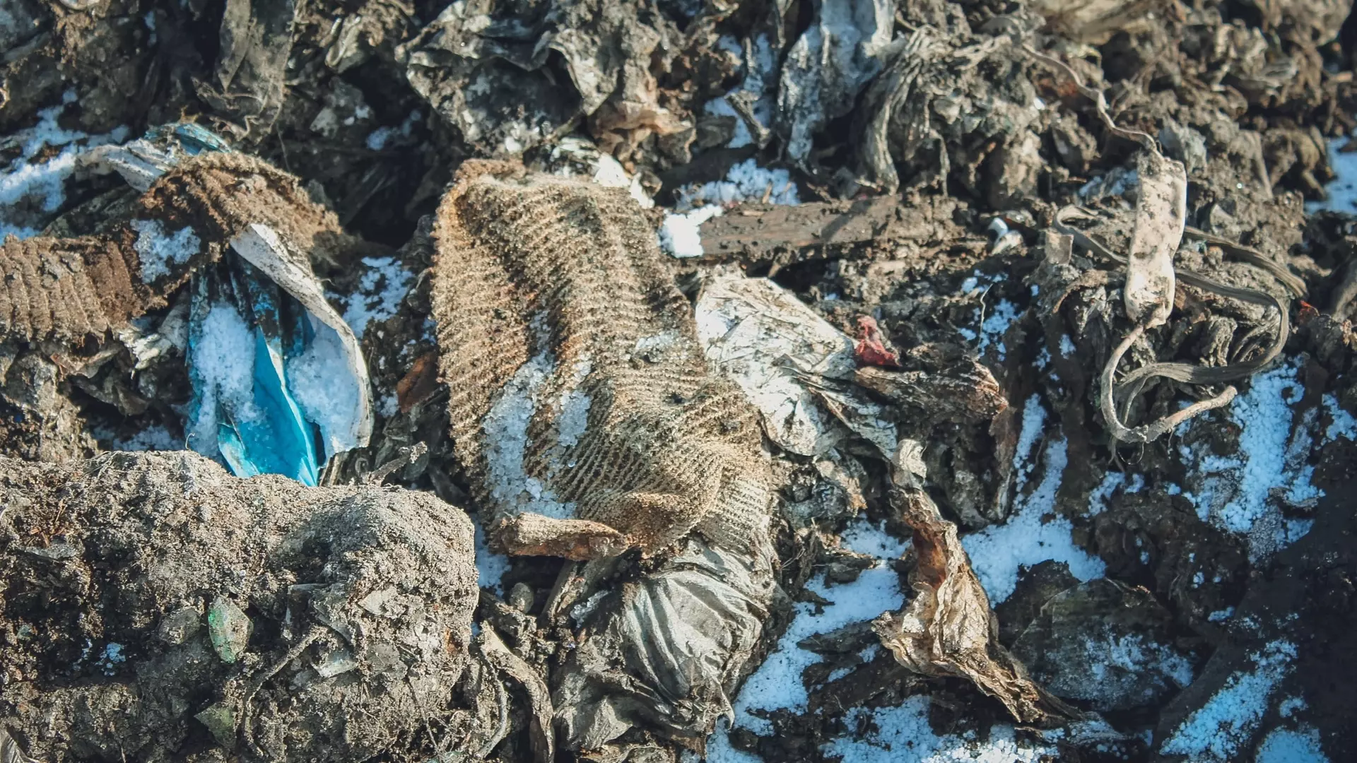Свалку отходов животноводства нашли в Челябинской области