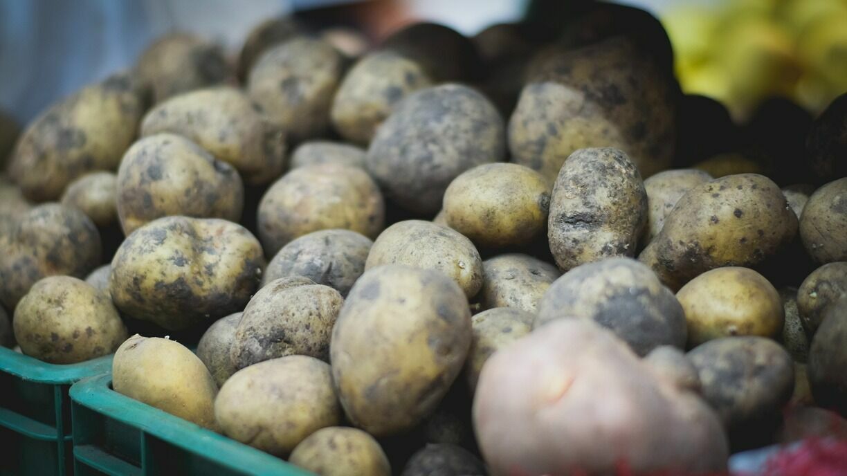 Картошка, капуста и соль подешевели в Челябинской области