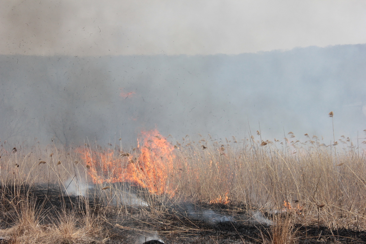 Высокая пожарная опасность сохраняется в Челябинской области