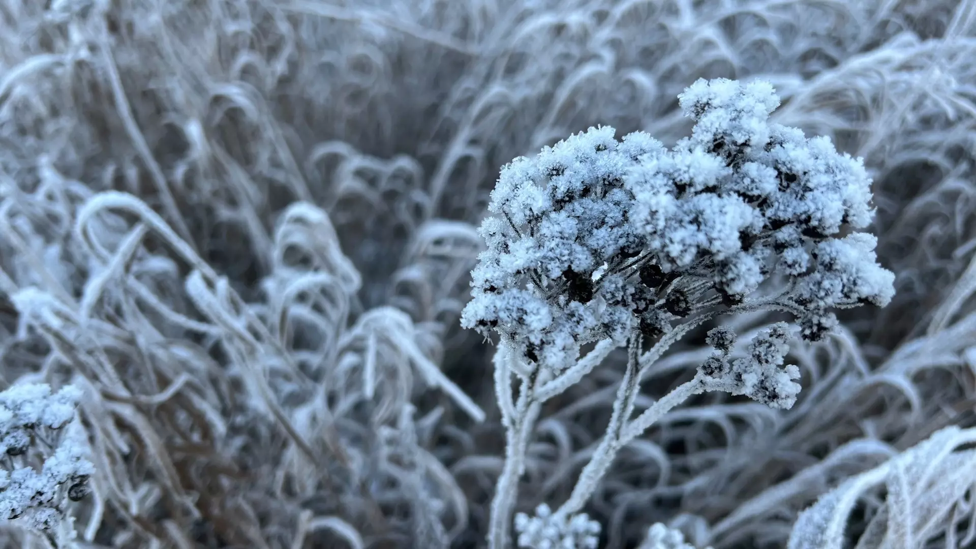 Морозы до -30 градусов продлятся несколько дней на Южном Урале