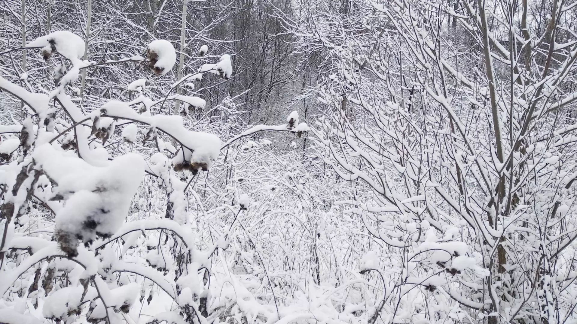 Не могут улететь домой туристы из Челябинска из-за снегопадов в Турции