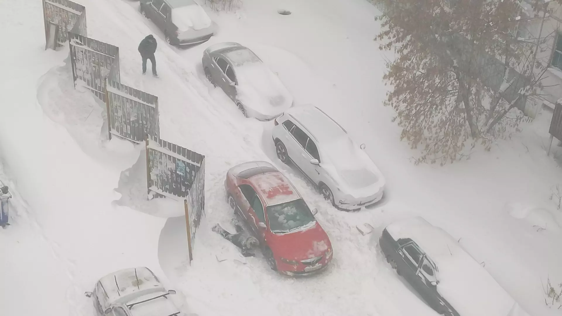 Много проблем в Челябинске у водителей машин в условиях снегопадов