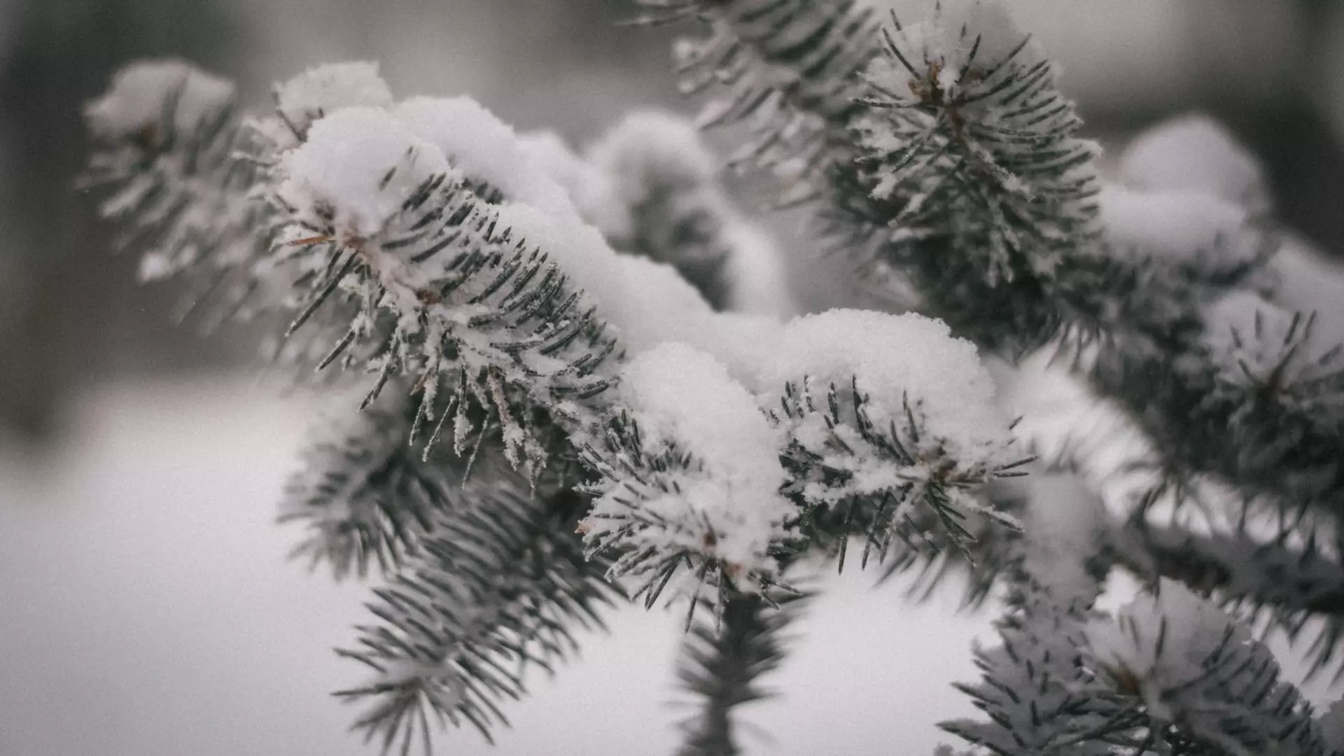 Такой вот подарочек: Челябинск завалит снегом на Новый год