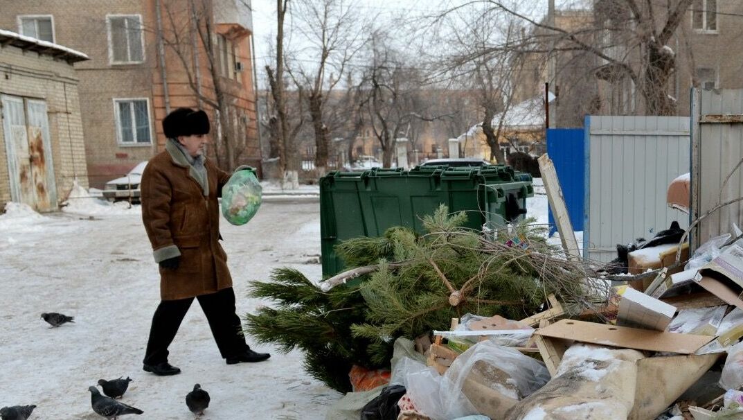Выбрасывать новогодние елки прямо возле мусорных баков предложили челябинцам