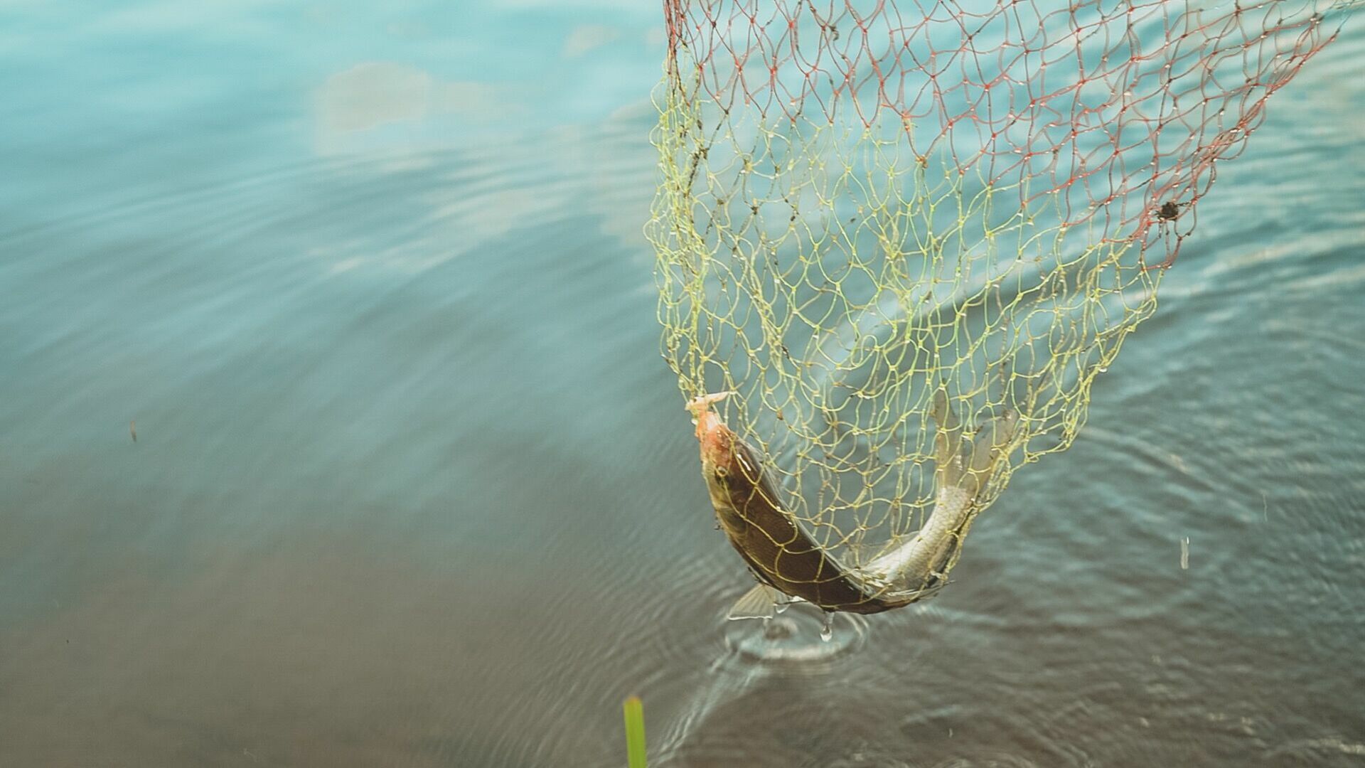 Промышленный лов рыбы на челябинском водохранилище могут полностью запретить