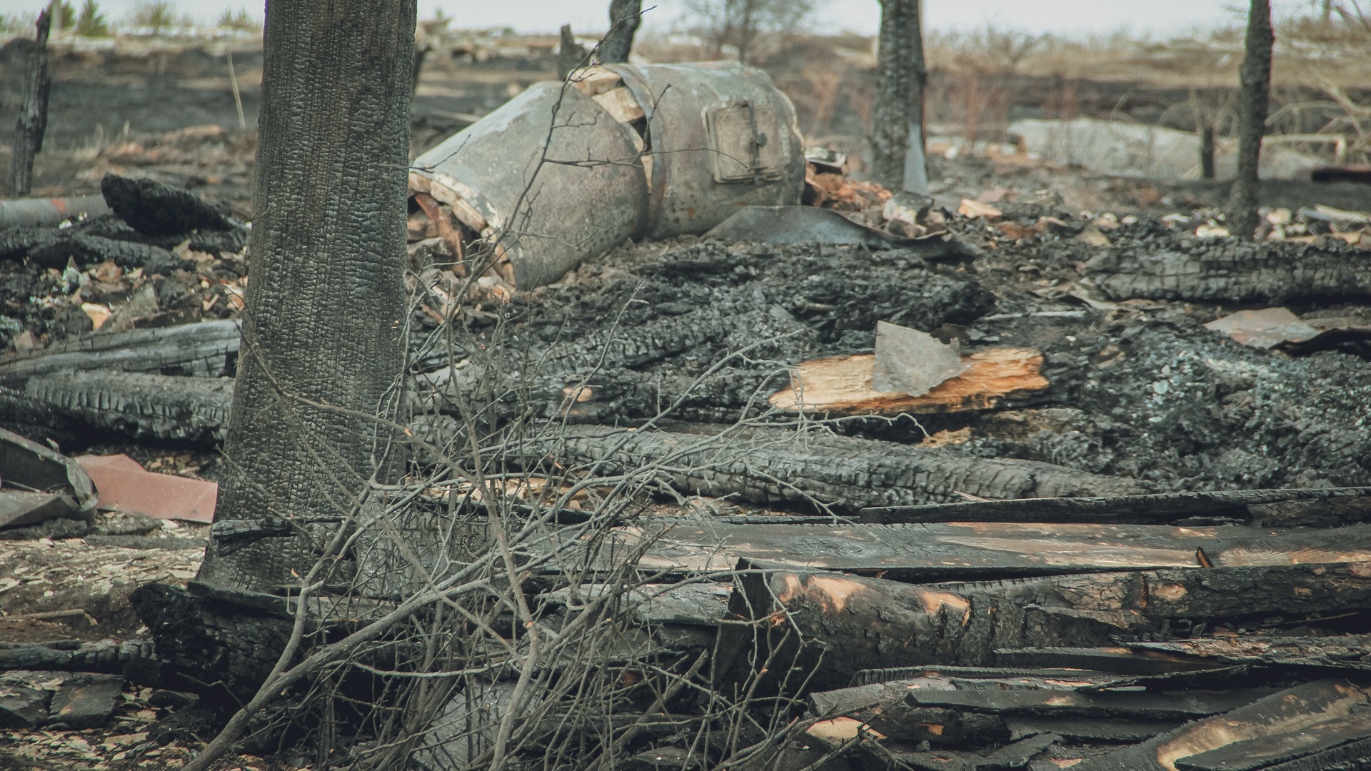 Лесной пожар начался из-за грозы в Челябинской области