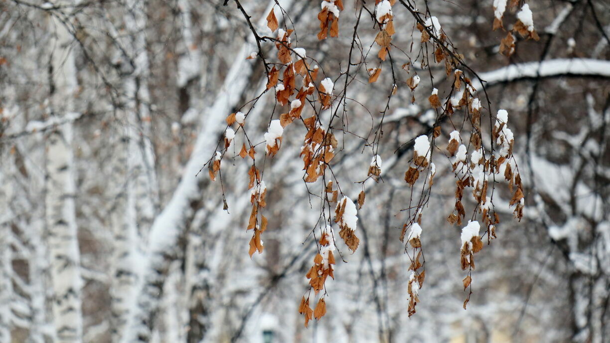 Мокрый снег придет на смену весеннему теплу в Челябинской области