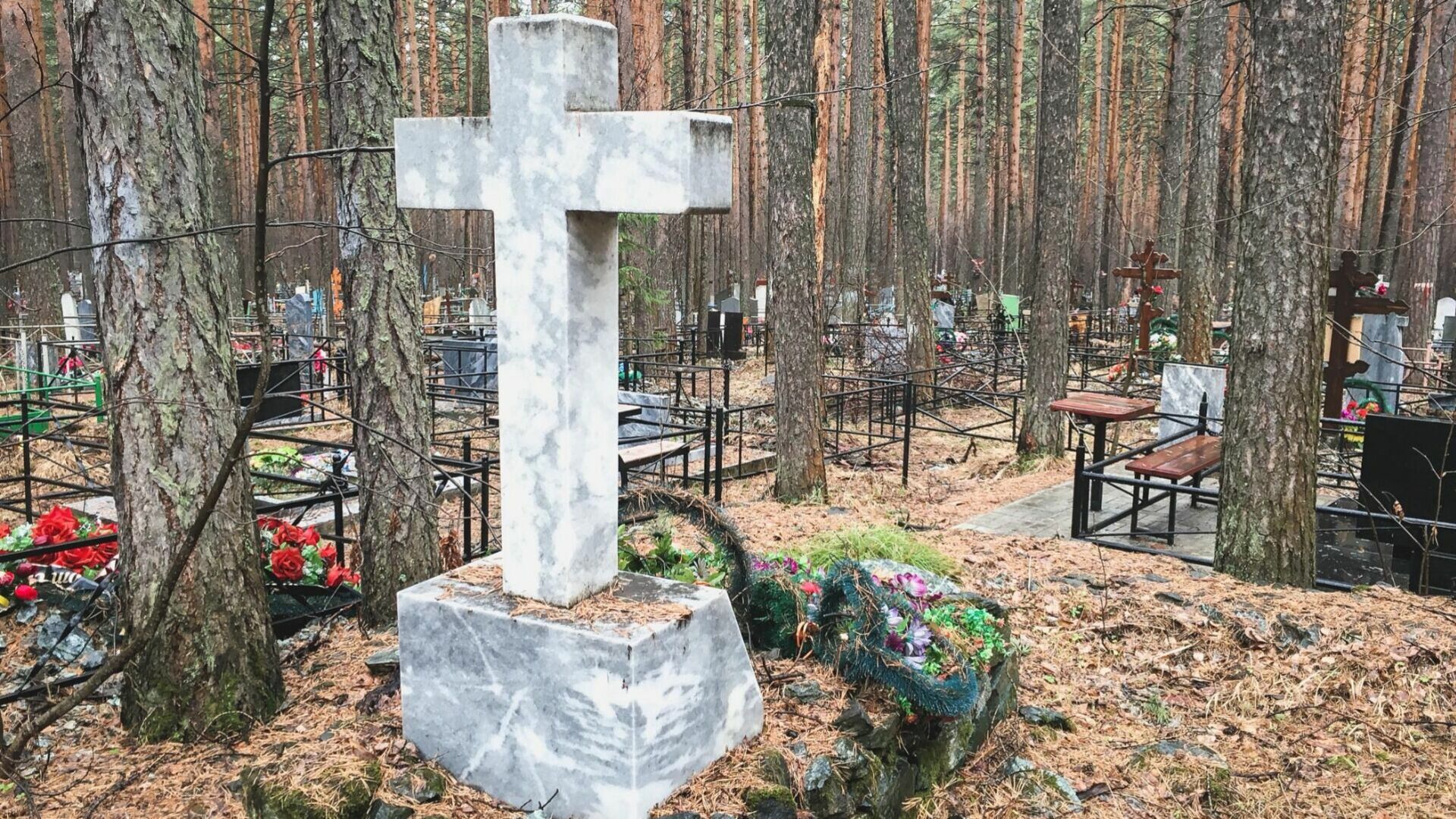 Ноги растерзанной пенсионерки нашли на Успенском кладбище в Челябинске