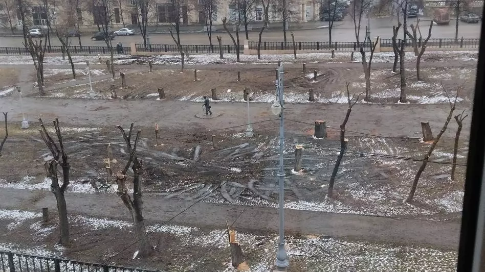 Жители Магнитогорска возмущены массовой вырубкой деревьев в сквере Металлургов