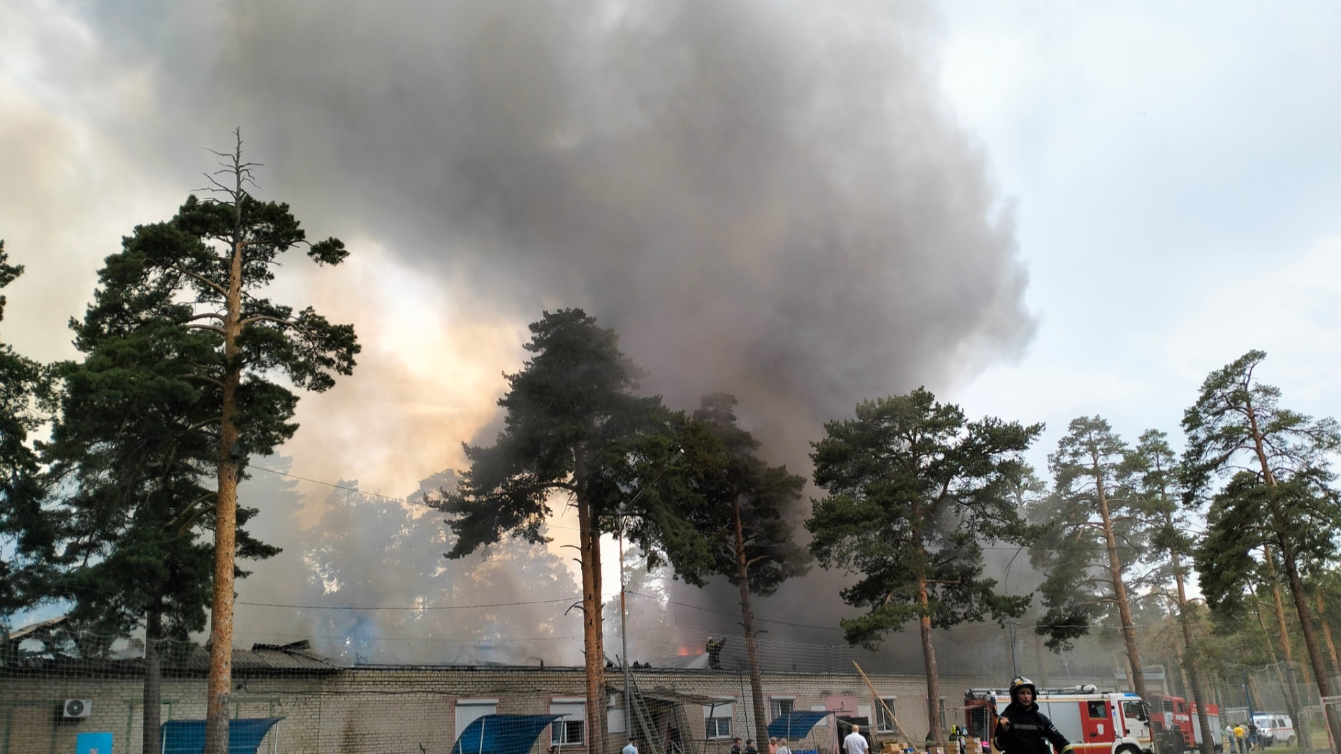 Пожар 4 августа на границе соснового бора в Челябинске стал событием дня