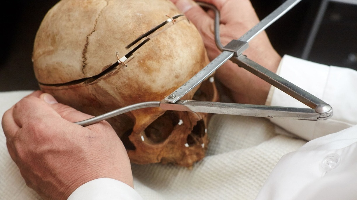 Два человеческих черепа обнаружили в Челябинской области