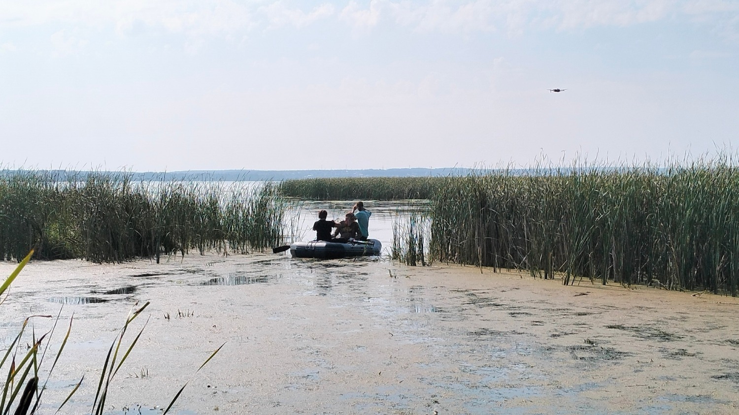 Ближняя зона изучена. Экологи уплывают на лодке дальше вдоль береговой линии Шершневского водохранилища