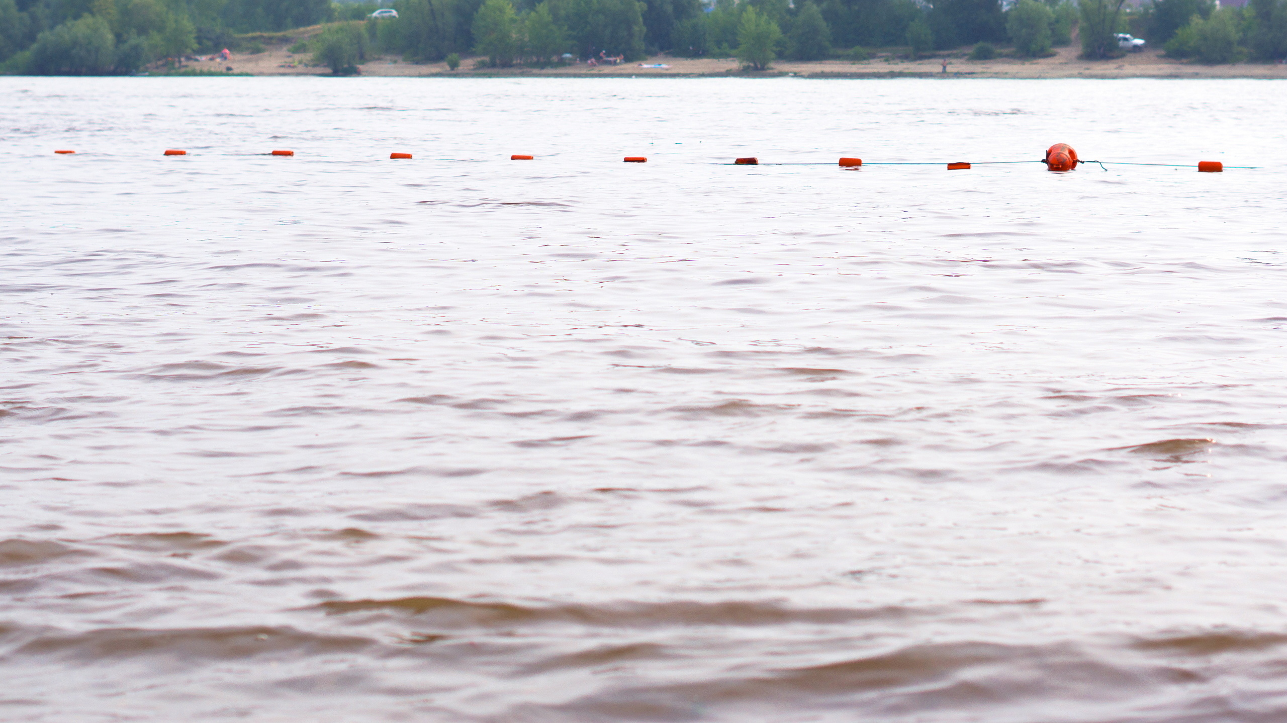 5-летняя девочка едва не утонула на озере Смолино в Челябинске