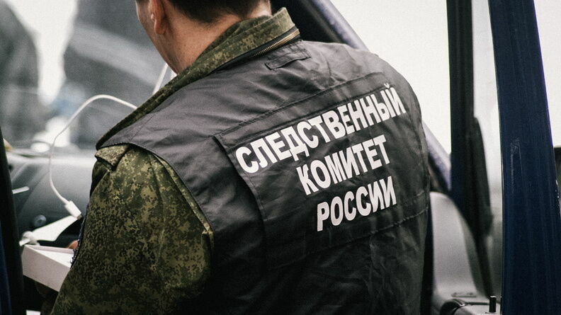 Глава СК Бастрыкин заинтересовался проектом нового микрорайона в Челябинской области