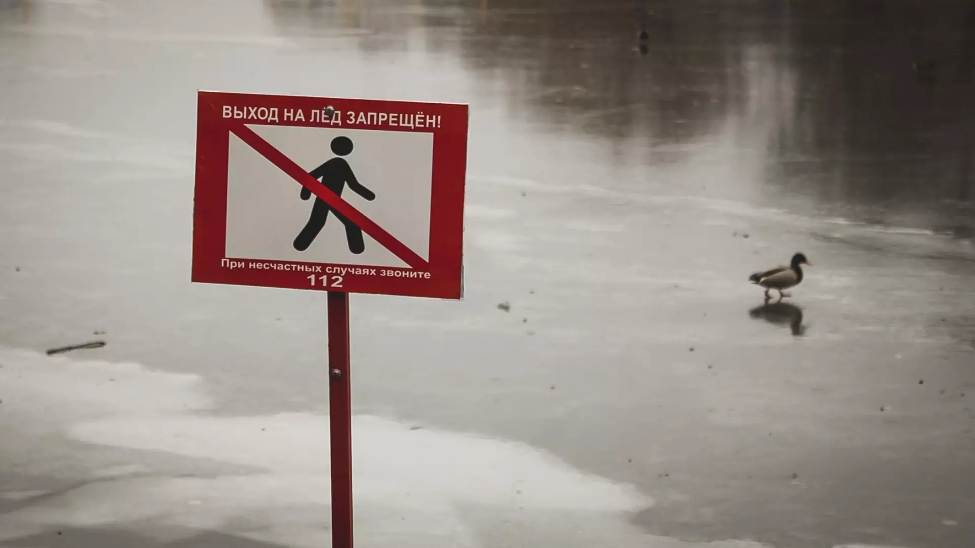 8-летний ребенок утонул на Южном Урале