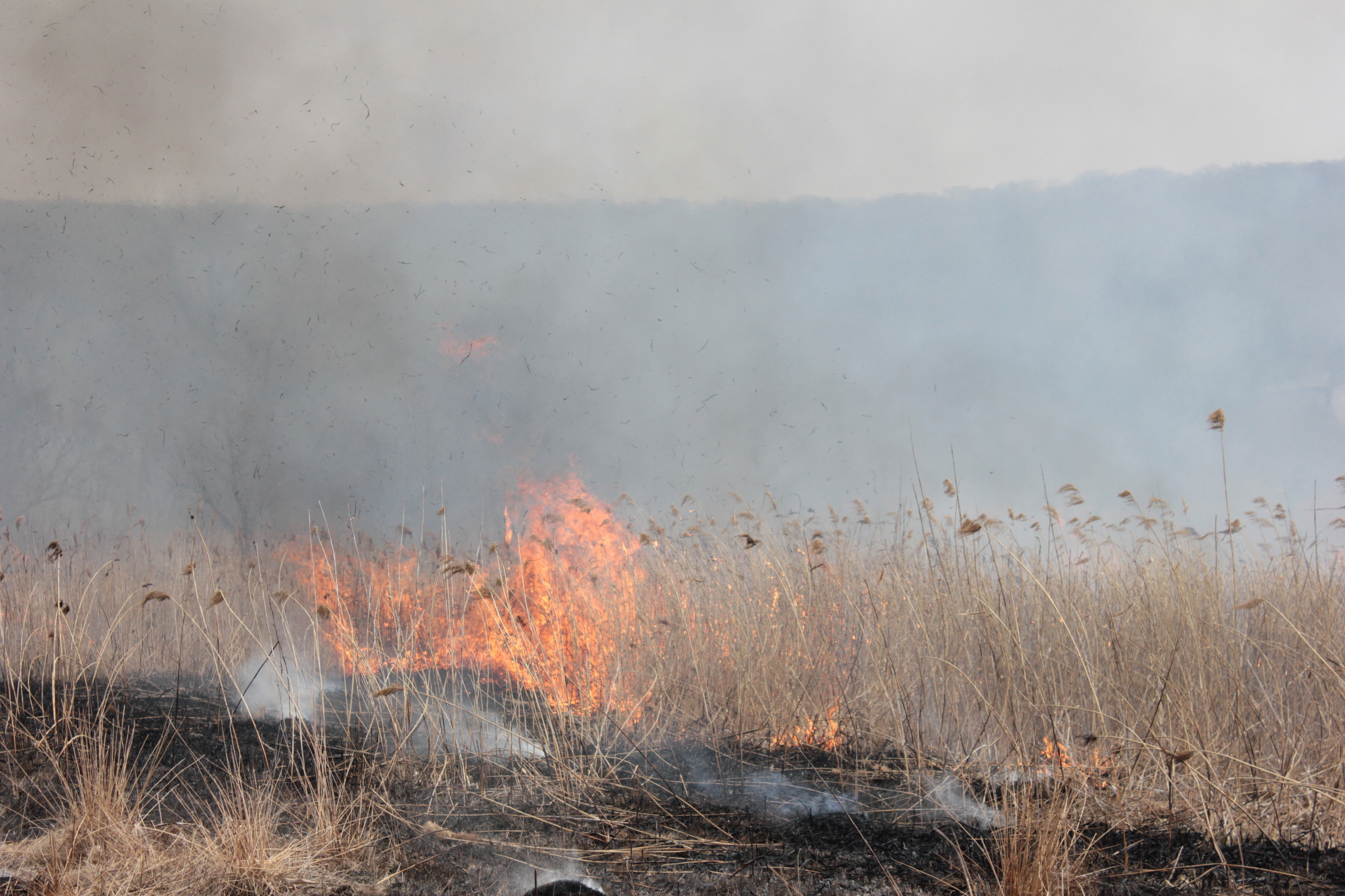 Крупный пожар охватил восемь гектаров земли в Челябинской области