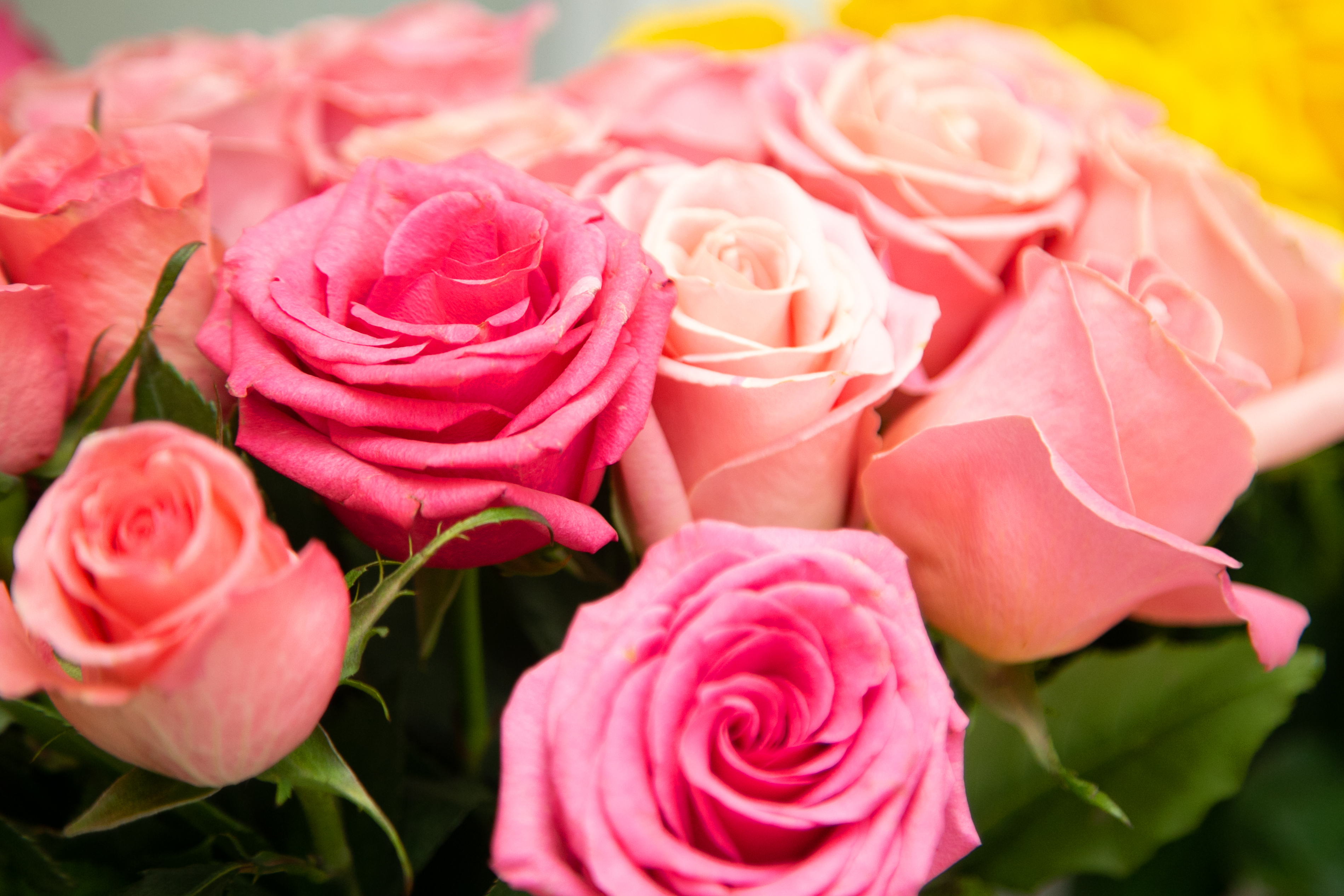 Сервисы доставки цветов набирают популярность: причины заказать букет онлайн