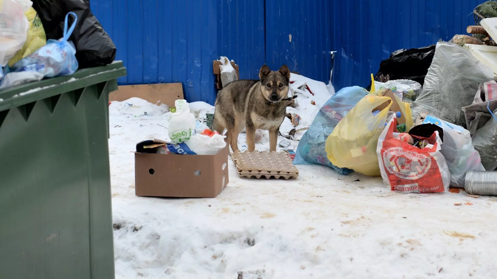 В Челябинске продолжают вывозить накопившийся снег