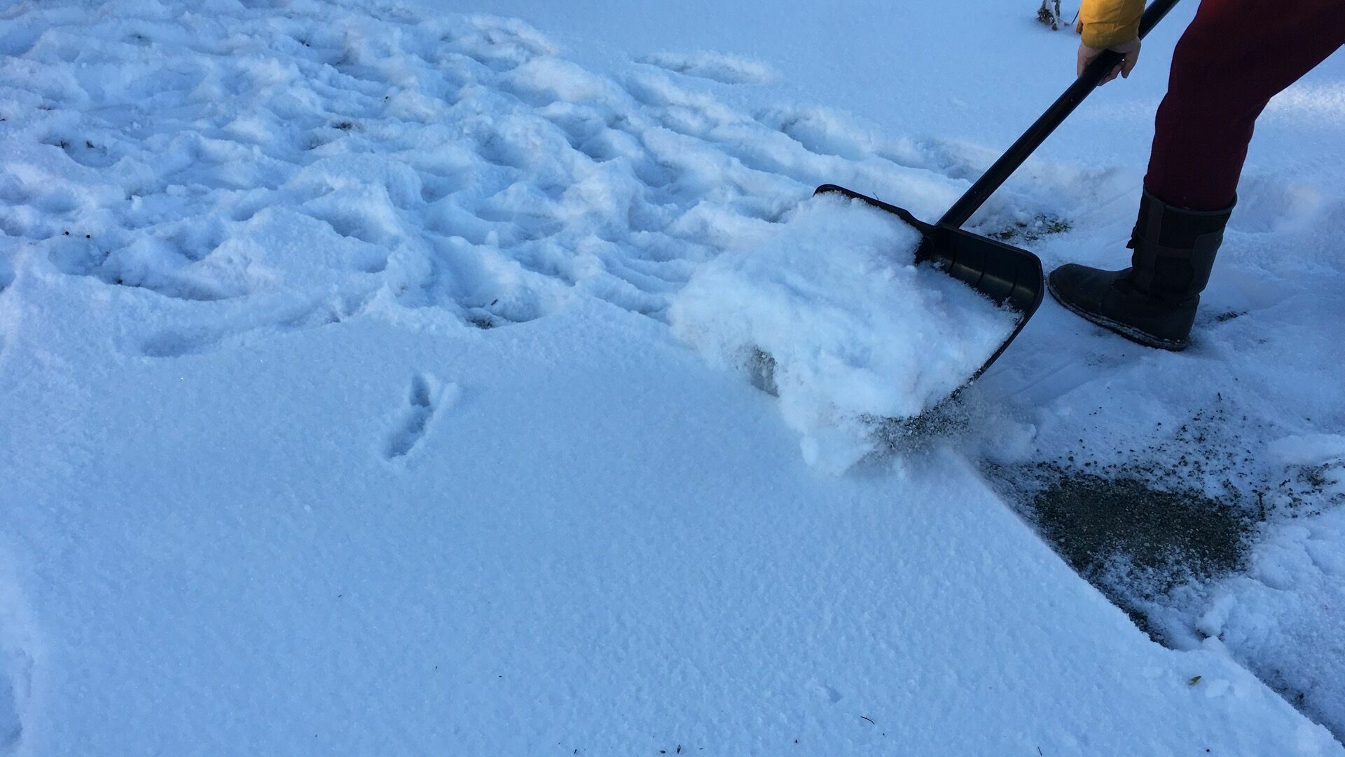 Очистить от снега территории возле ТРК поручила мэр Челябинска Наталья Котова